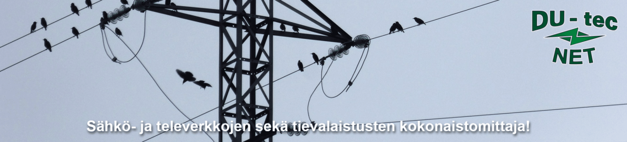 Sähkö- ja televerkot